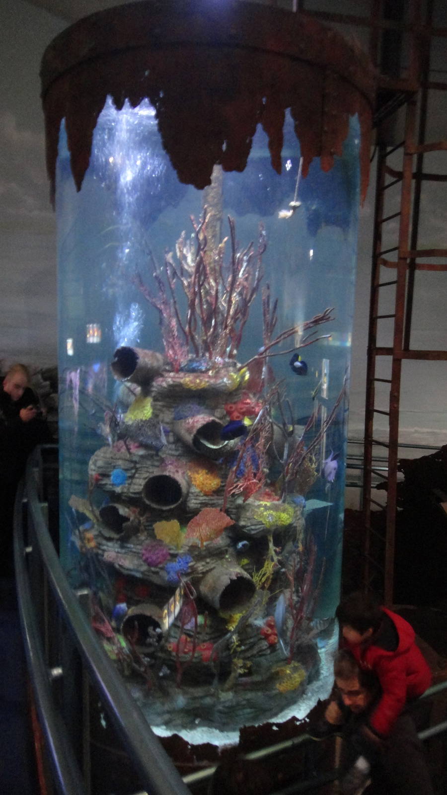 Red Sea Wreck (30/12/2011)