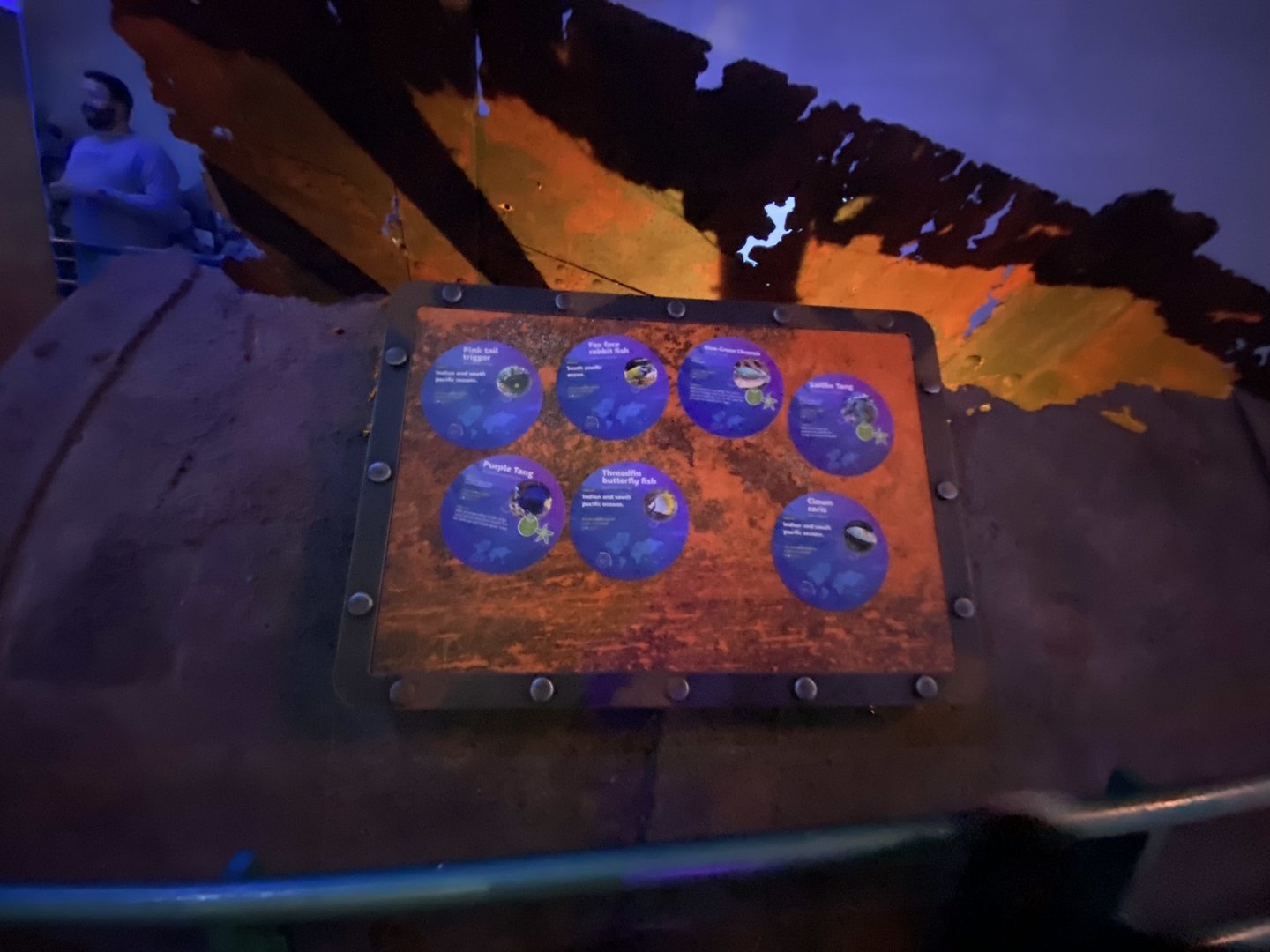 Red Sea Wreck signage 070123