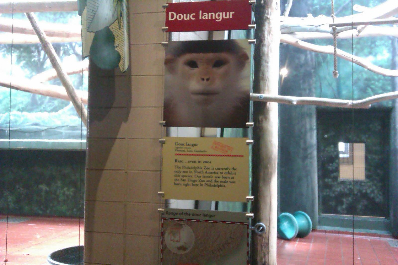 Red Shanked Douc Langer Sign