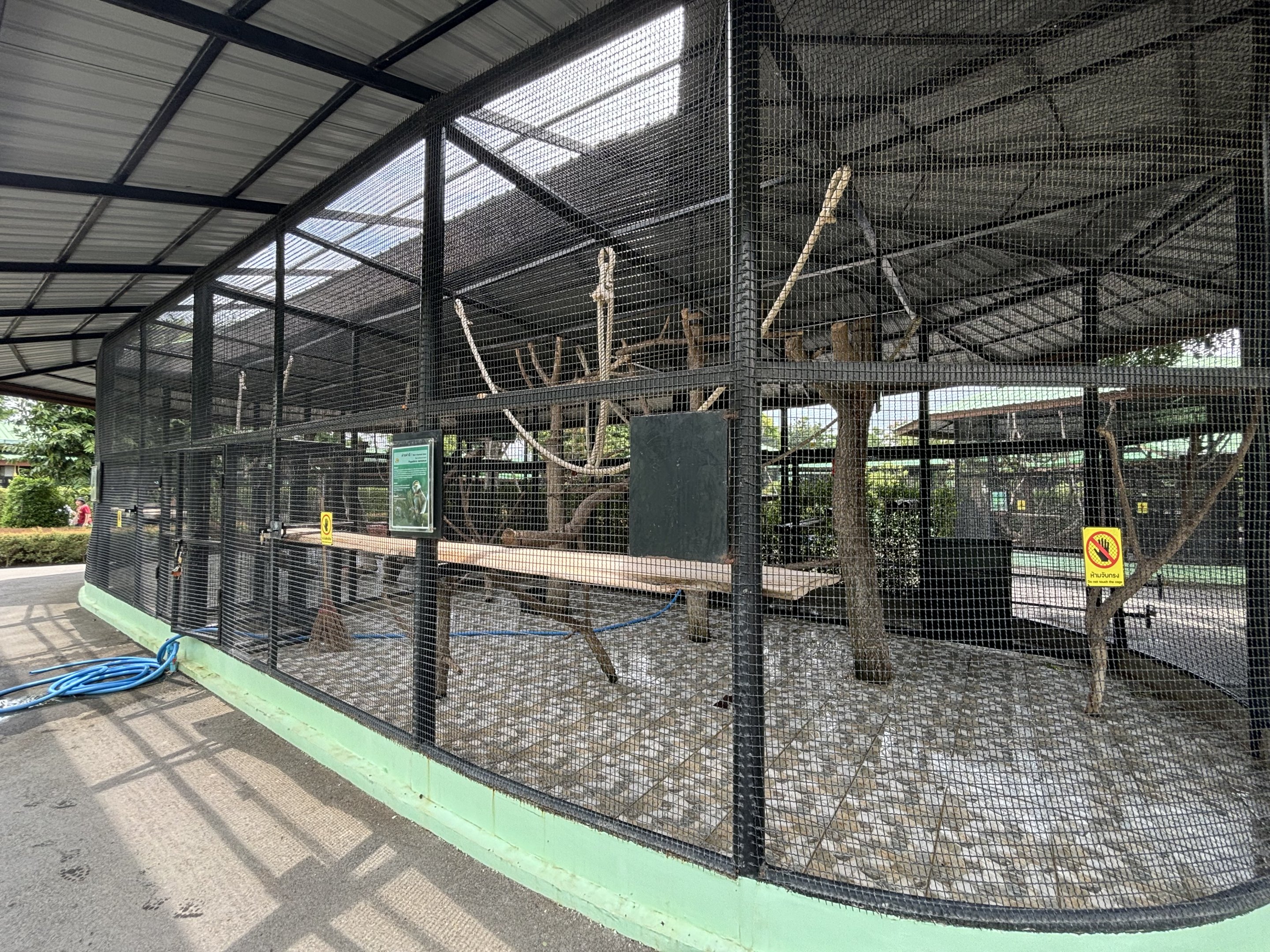 Red-shanked Douc Langur Exhibit #1 - Lion Park