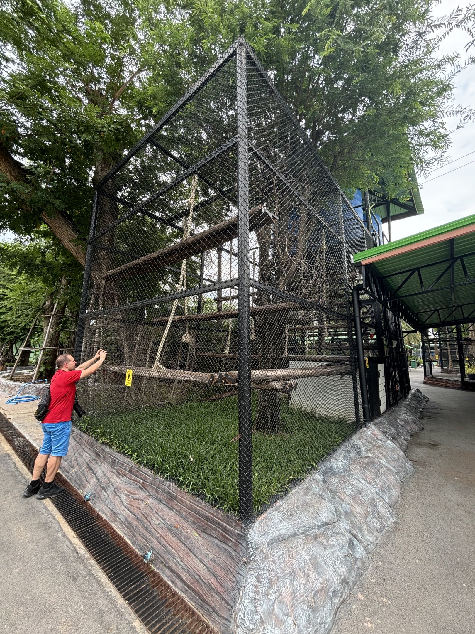 Red-shanked Douc Langur Exhibit #2 - Lion Park