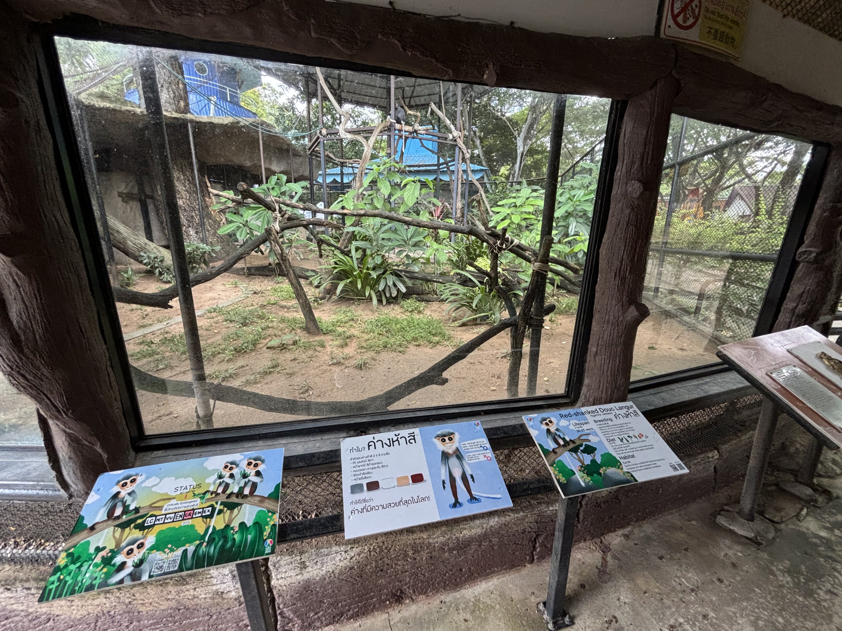Red-shanked Douc Langur Exhibit #5