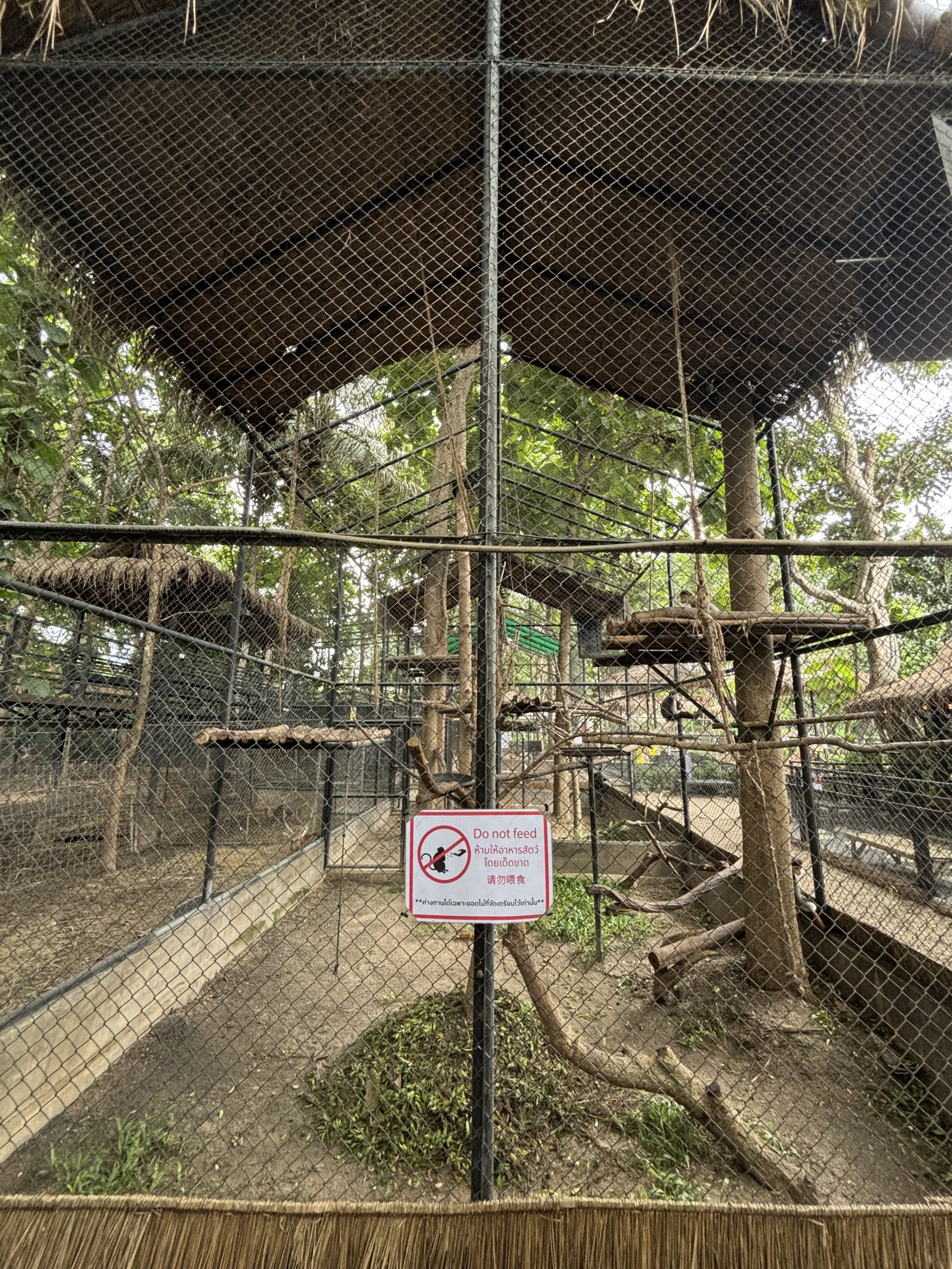 Red-shanked Douc Langur Exhibit - Lanna Mini Zoo