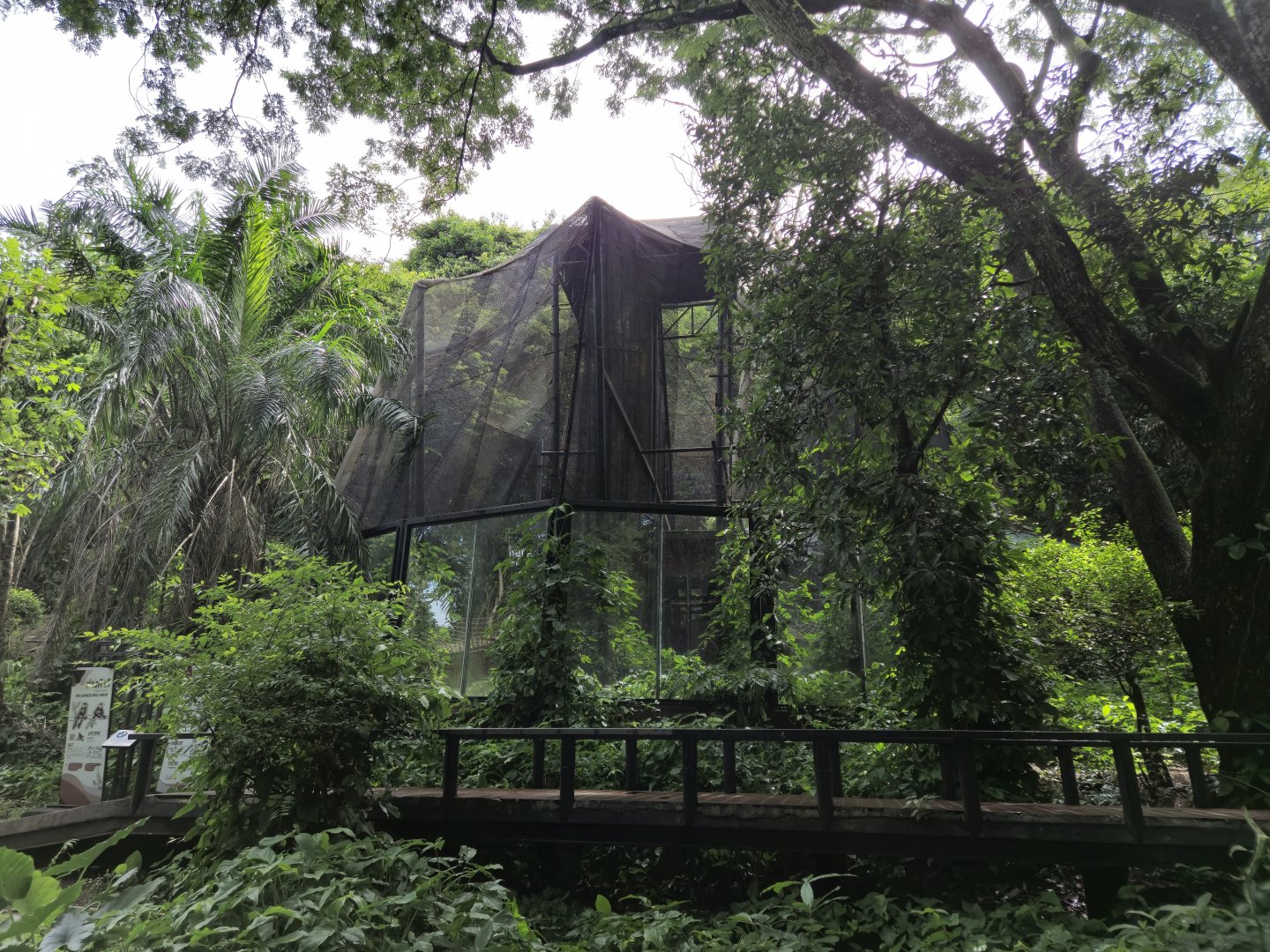 Red-shanked Douc Langur exhibit