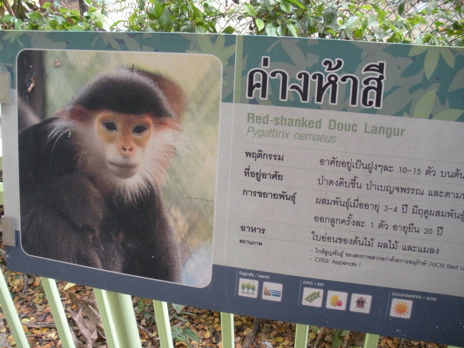 Red shanked Douc Langur signage