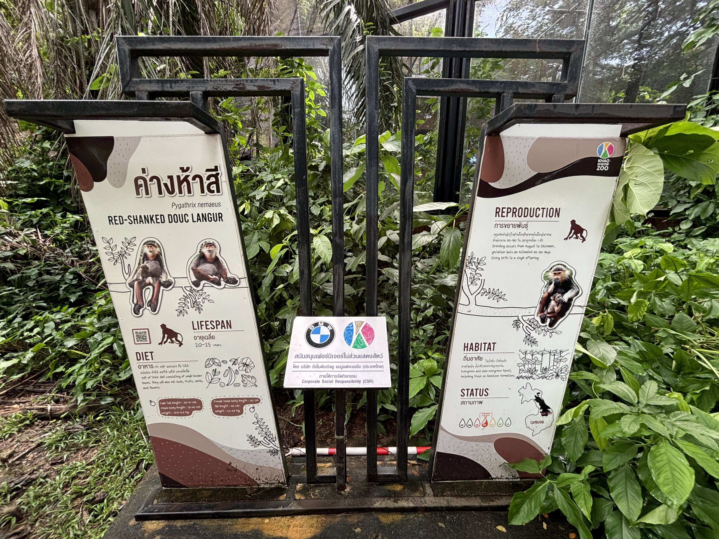 Red-shanked Douc Langur Signs