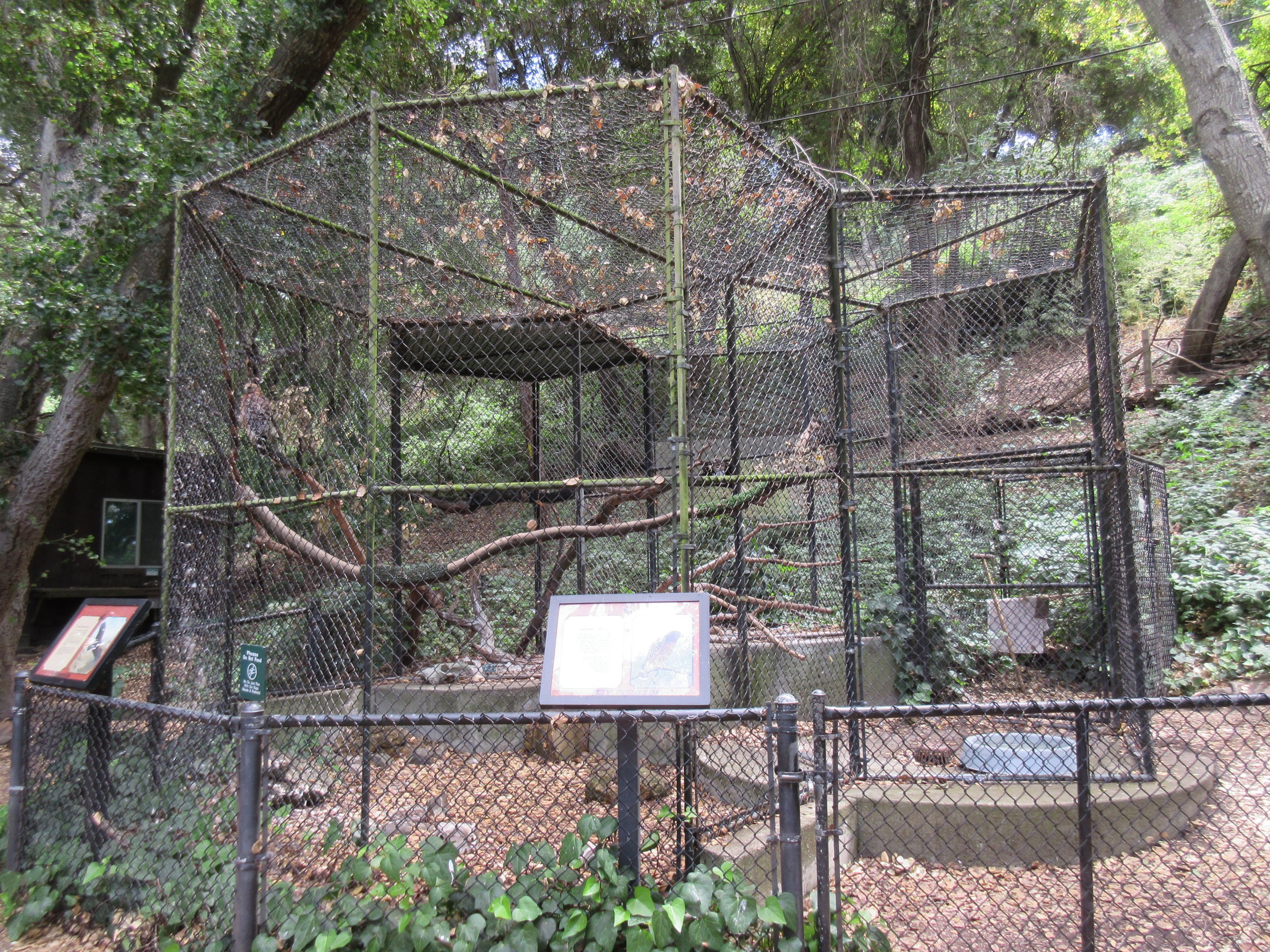 Red-Shouldered Hawk/Turkey Vulture Exhibit