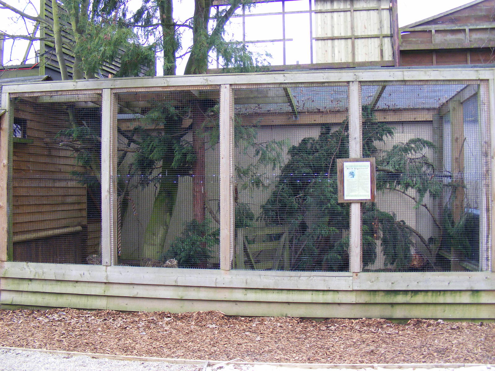 Red squirrel enclosure at Chessington Zoo, 6 February 2011