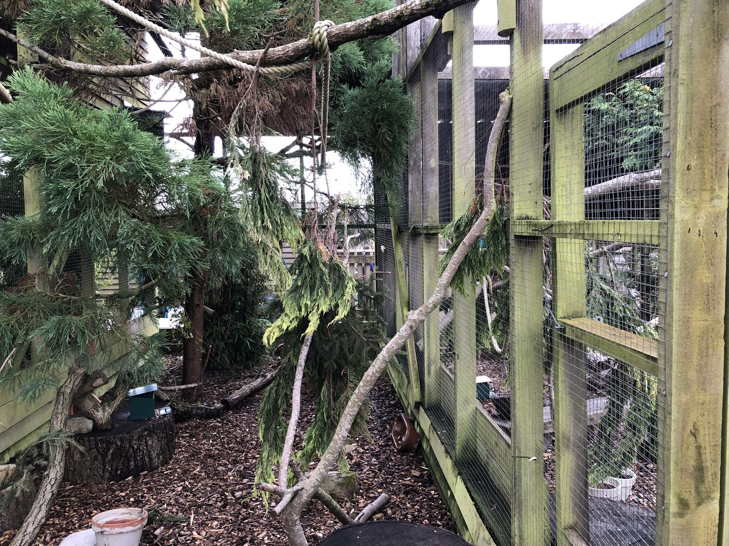 Red Squirrel Enclosure at Peak Wildlife Park (August 2023)