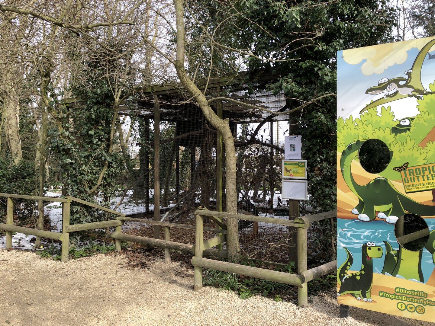 Red Squirrel Enclosure at Tropical Butterfly House (March 2023)