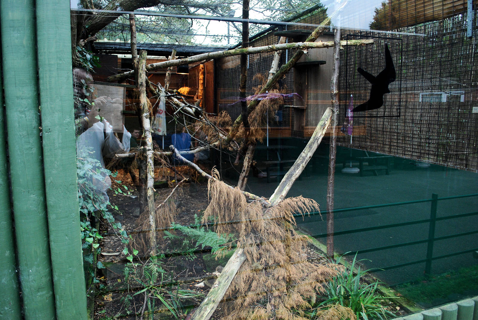 RED SQUIRREL ENCLOSURE