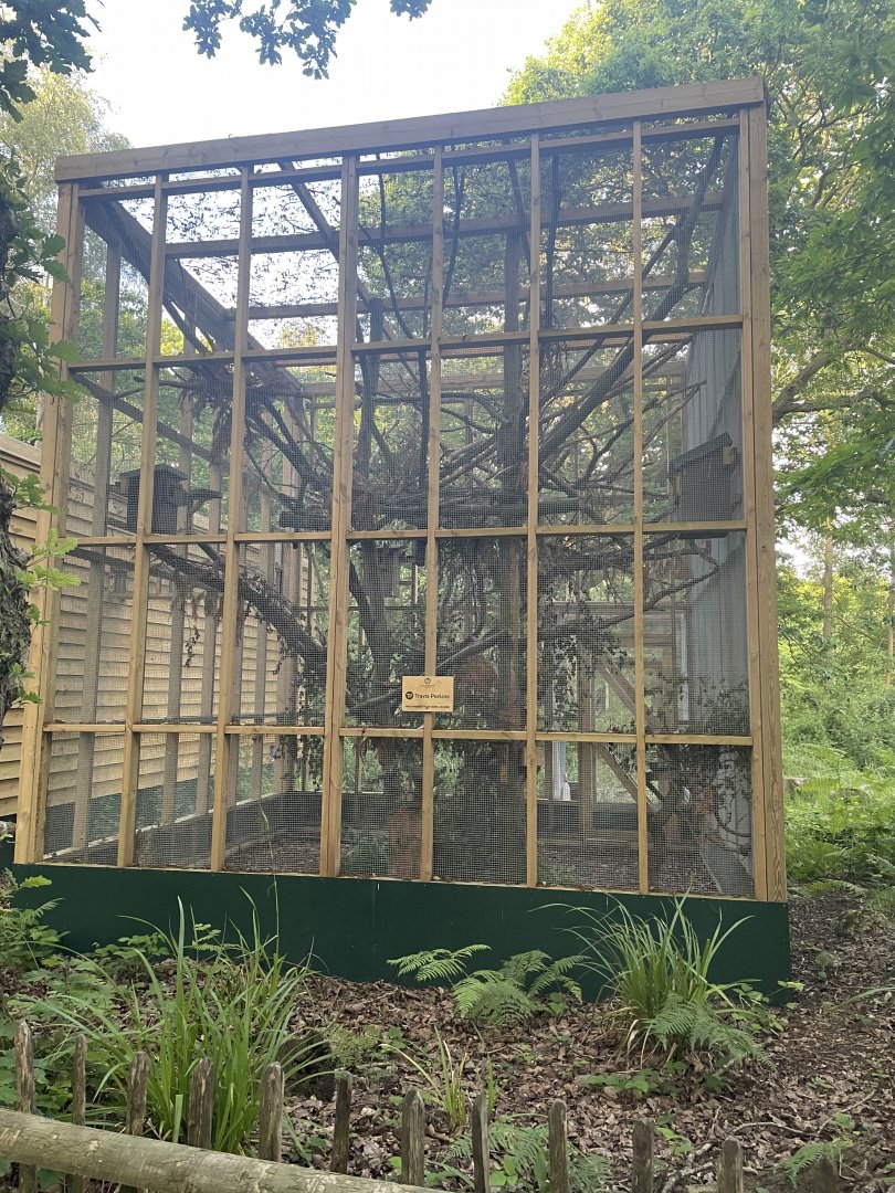 Red Squirrel Enclosure
