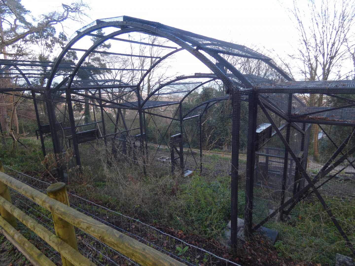 Red squirrel enclosure