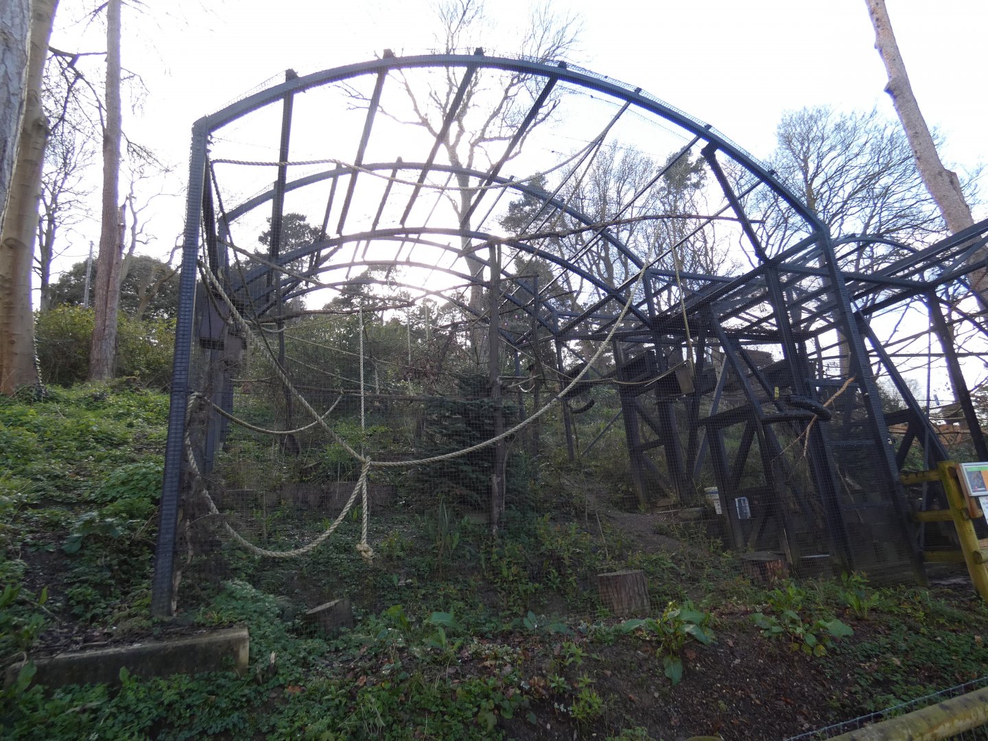 Red squirrel enclosure