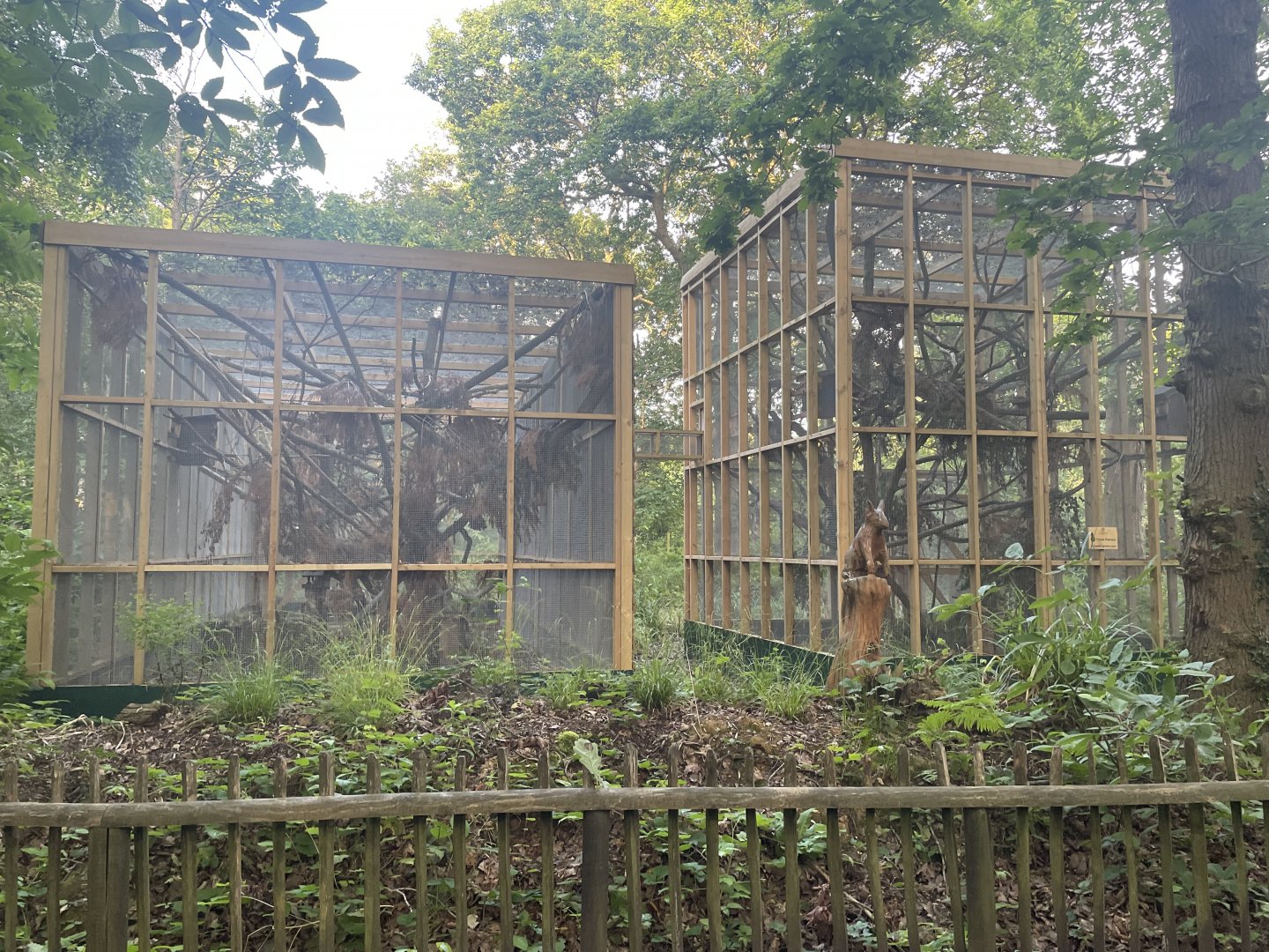 Red Squirrel Enclosures (2)