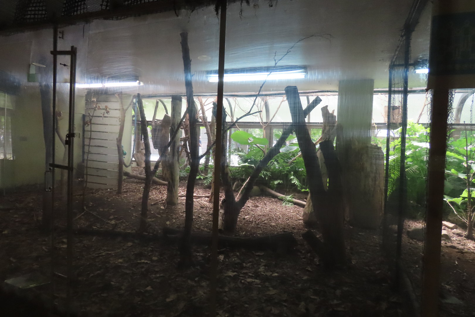 Red squirrel exhibit