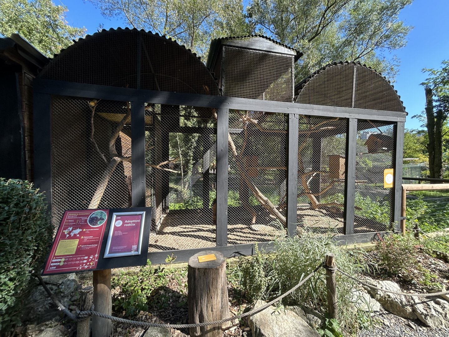 Red Squirrel Exhibit