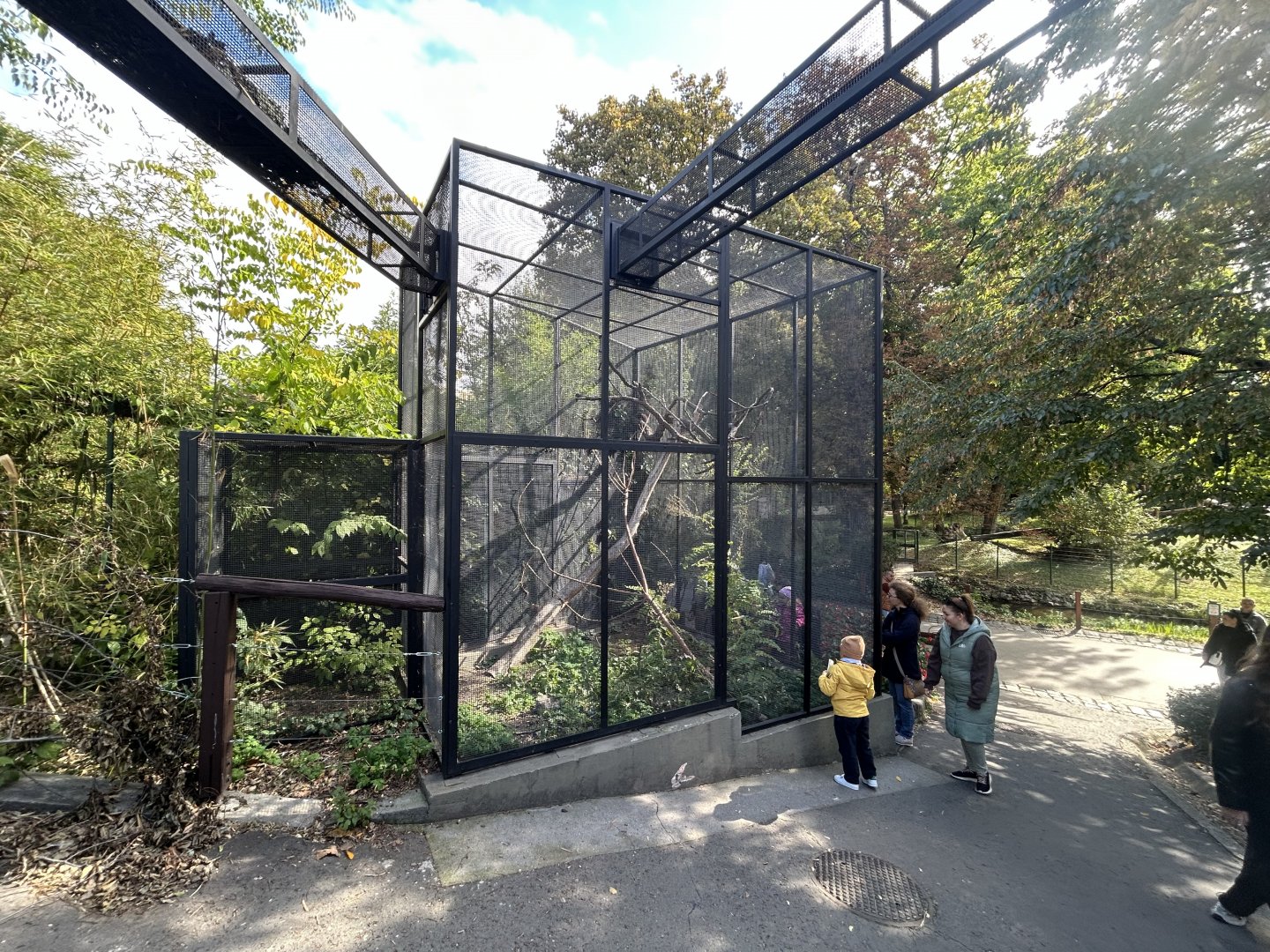 Red Squirrel Exhibit