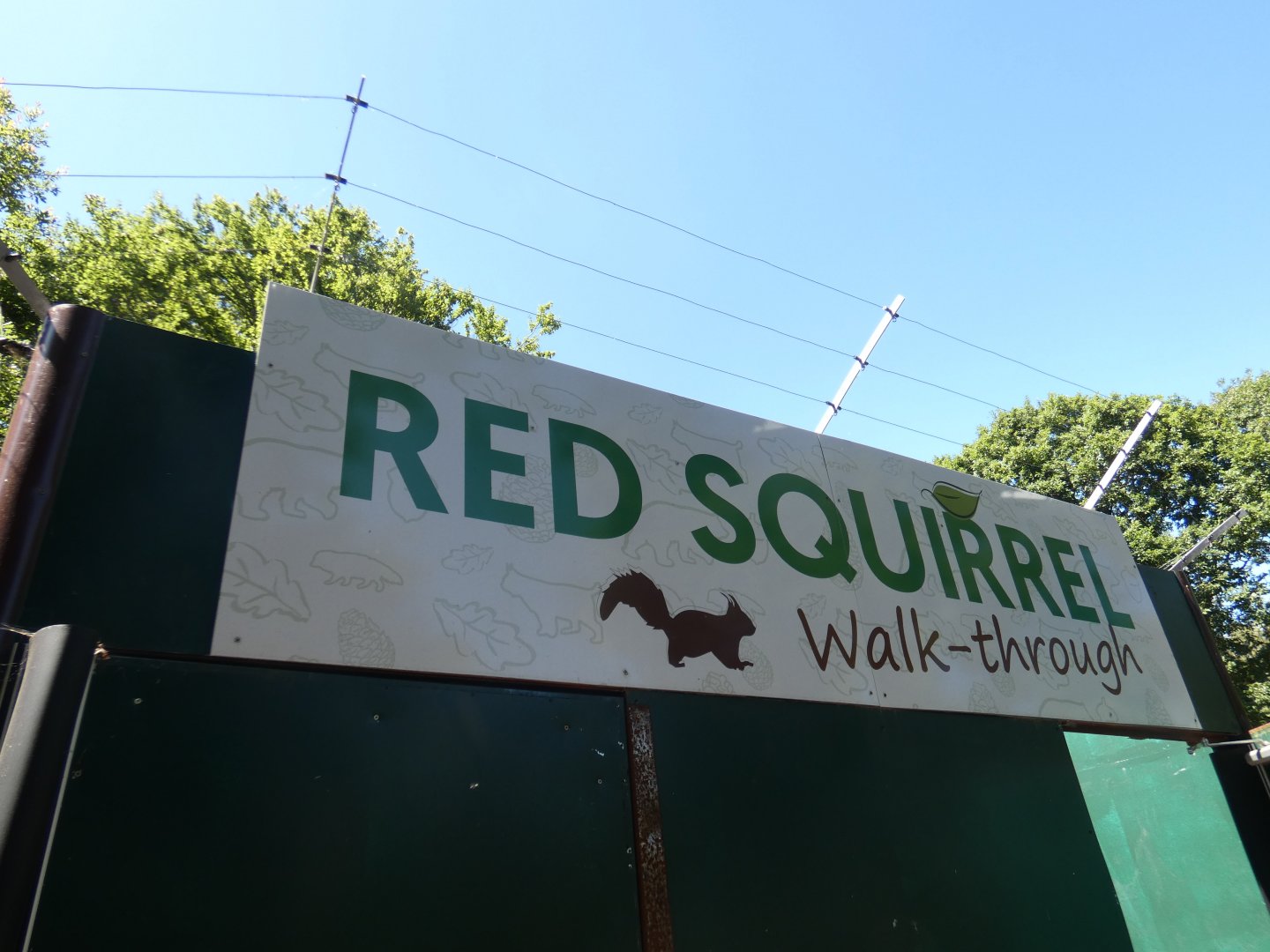 Red Squirrel walk-through entrance
