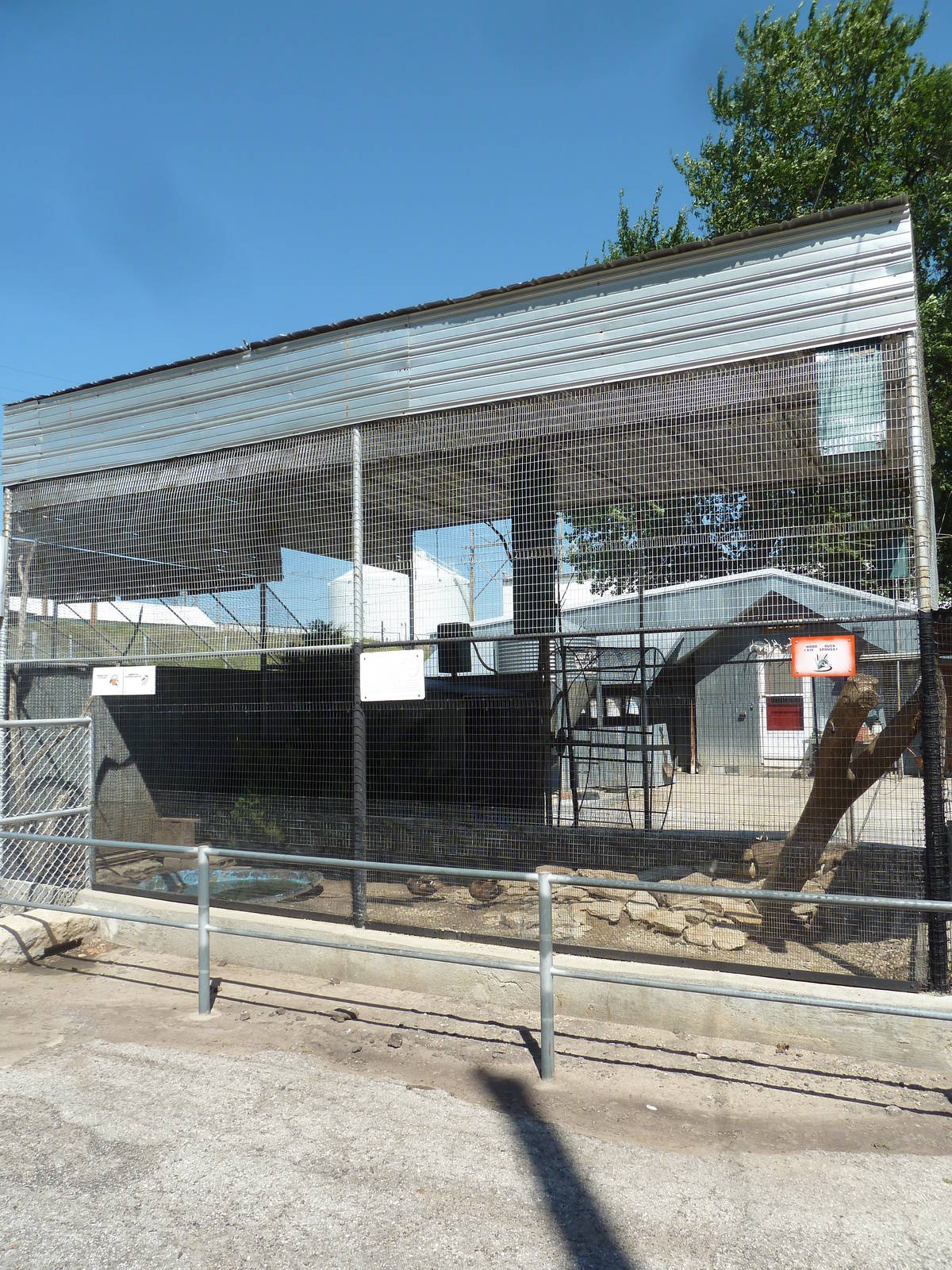 Red Squirrel + Waterfowl Enclosure