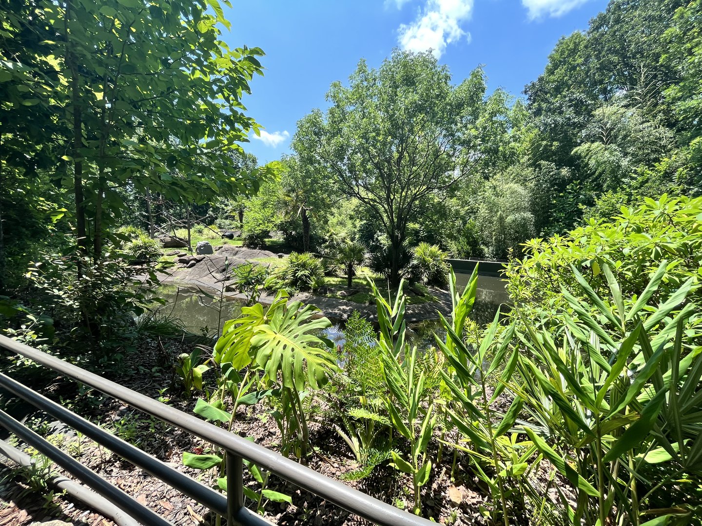 Red-stuffed Lemur Enclosure (No Show)