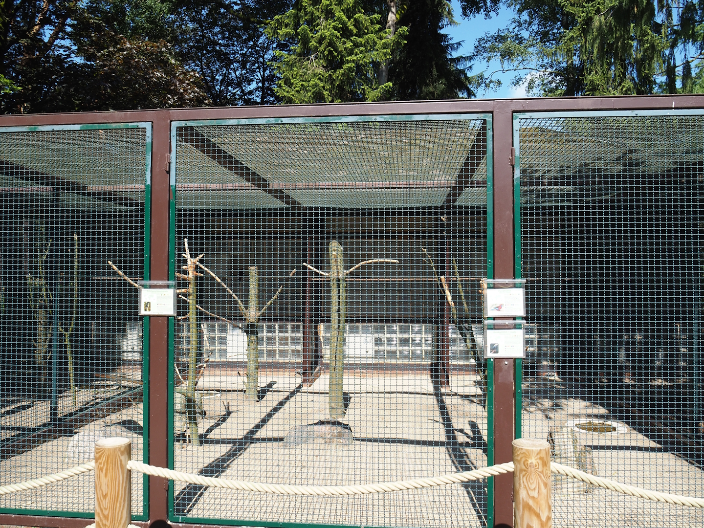 Red-tailed black cockatoo and rosella aviary, 2024-05-23
