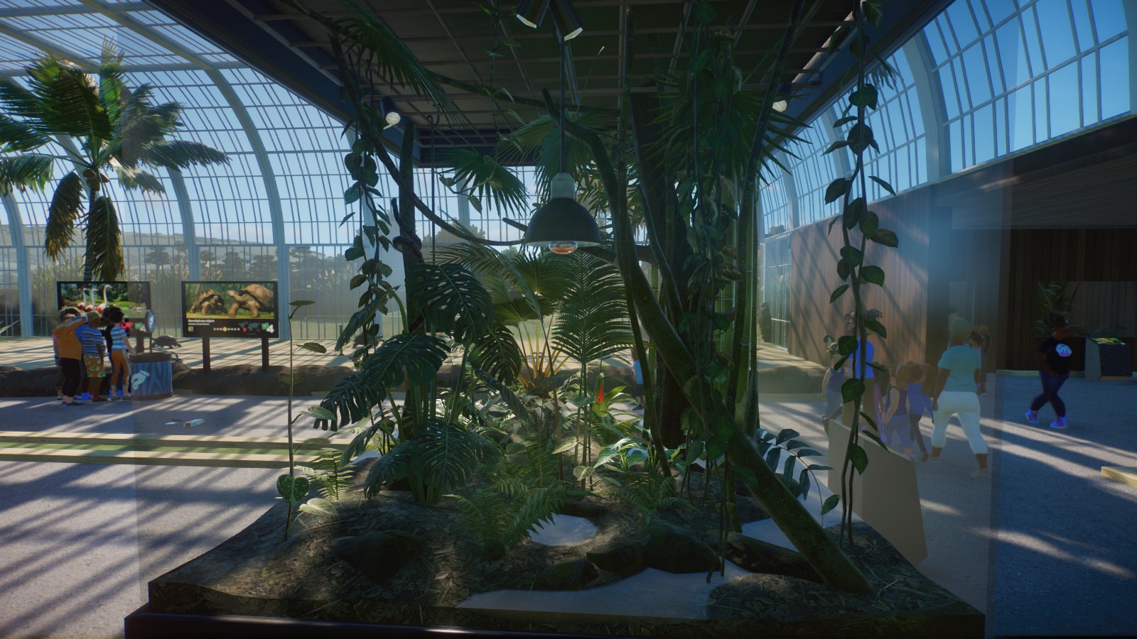 Red Tailed Boa Enclosure