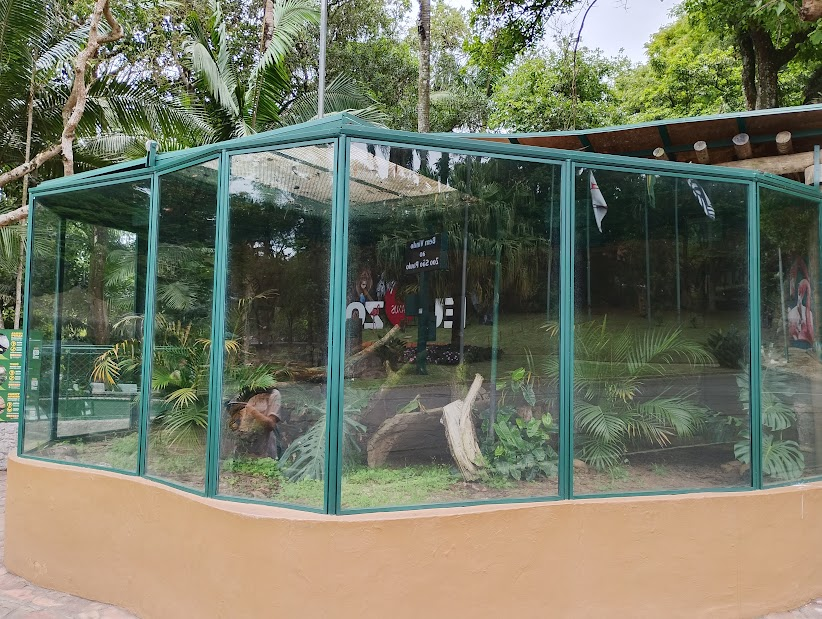 Red-tailed boa exhibit