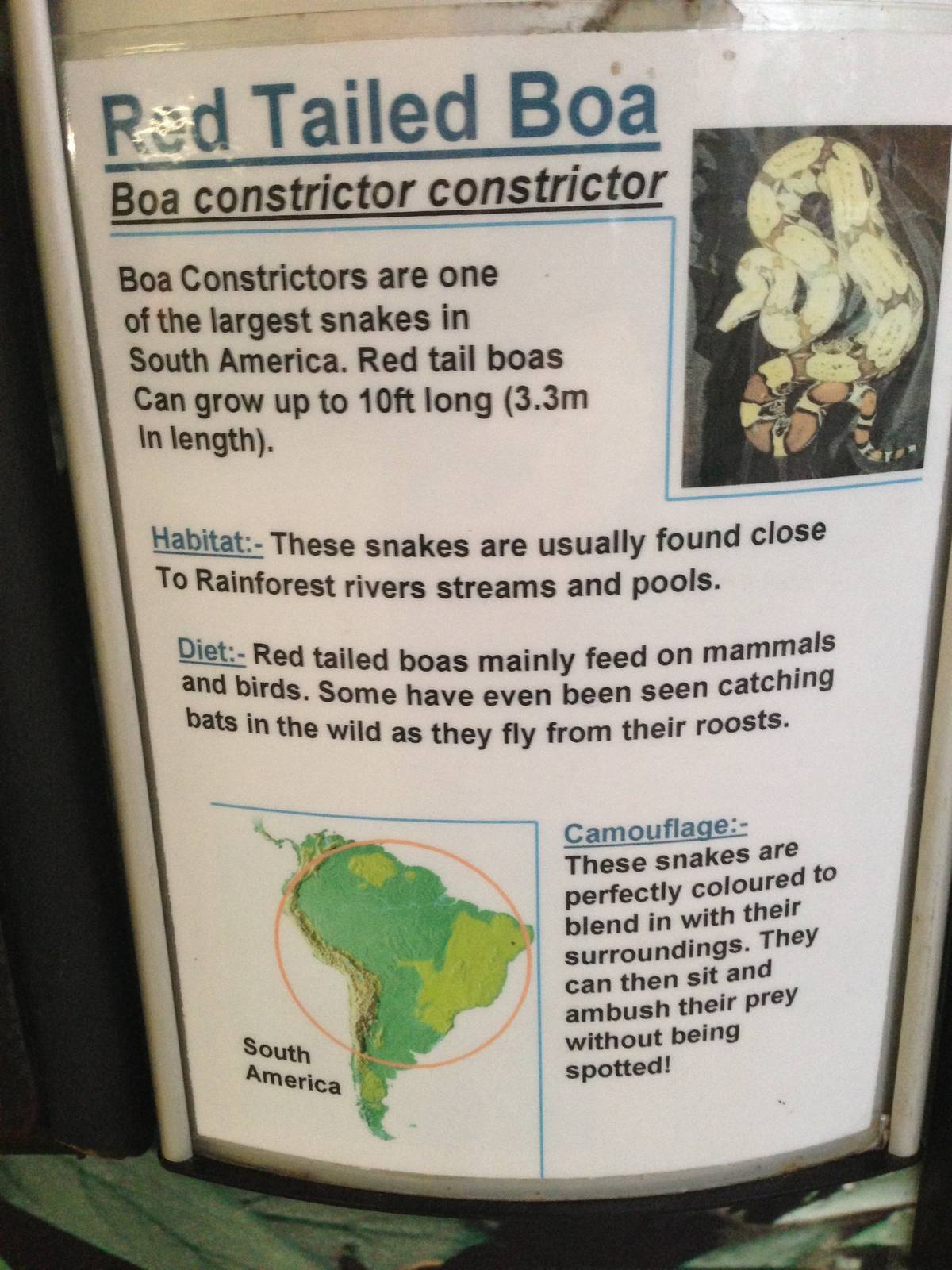 Red-Tailed Boa Signage at Tropical World - 02/10/2013