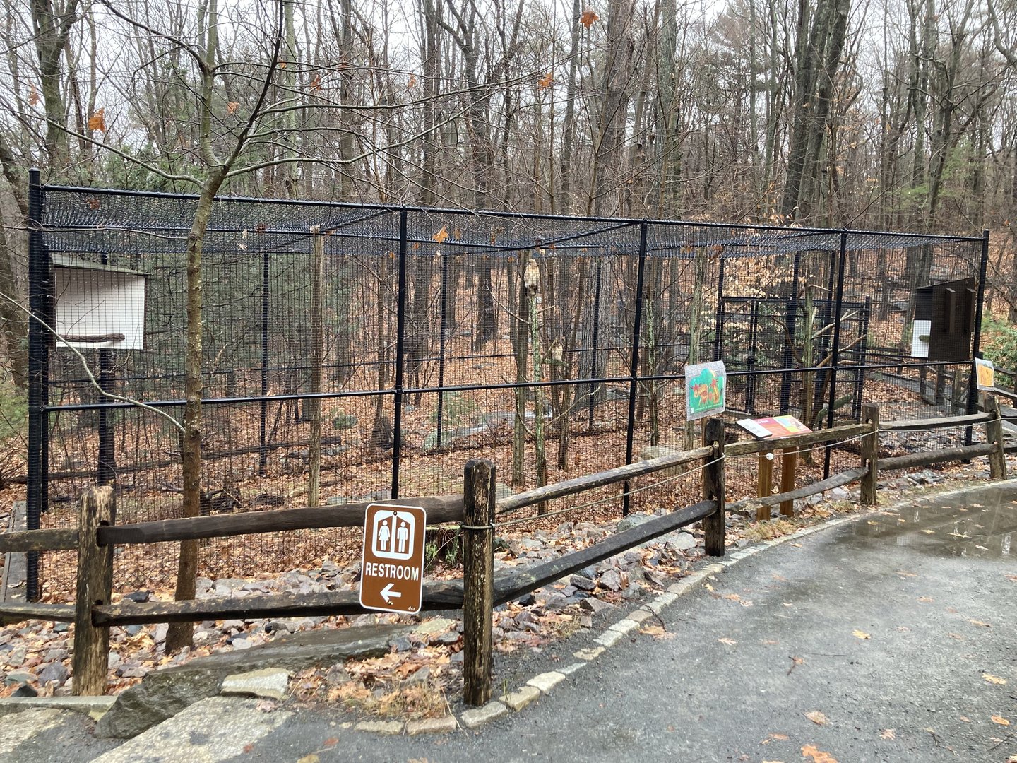 Red Tailed Hawk Aviary