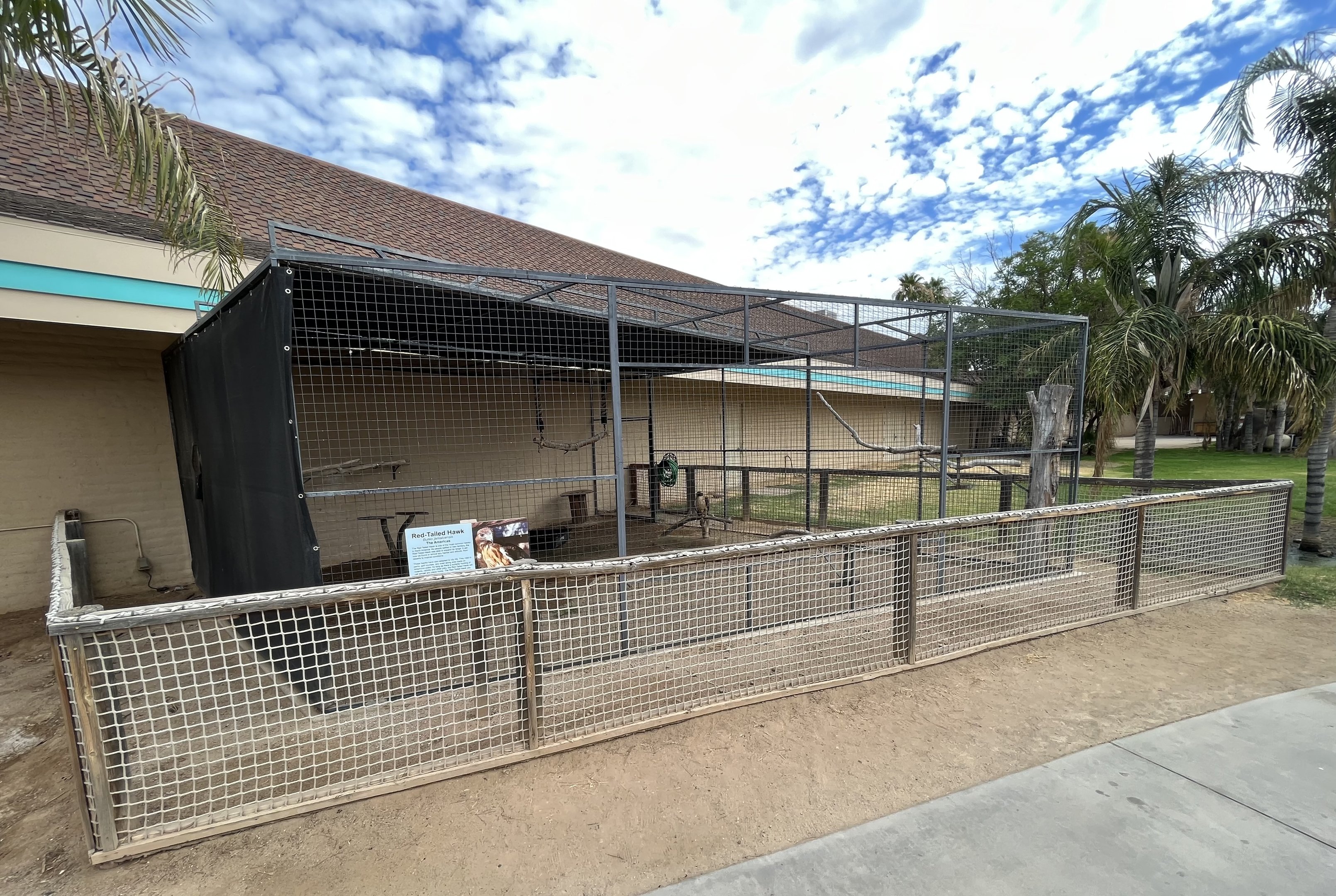Red-tailed Hawk Aviary