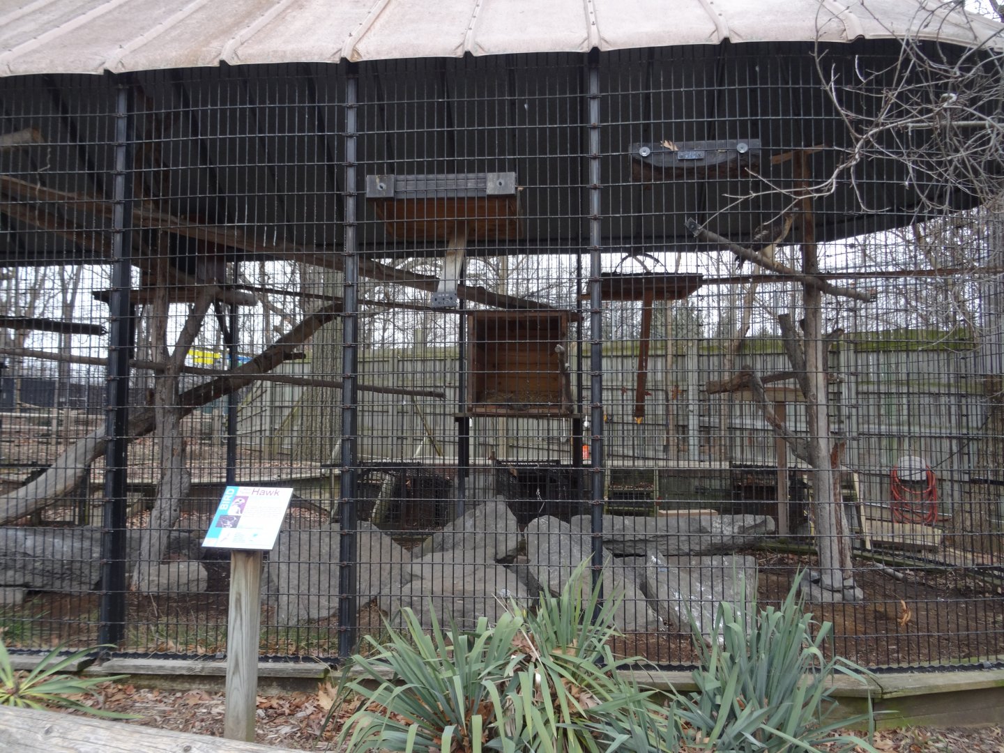 Red-Tailed Hawk Cage