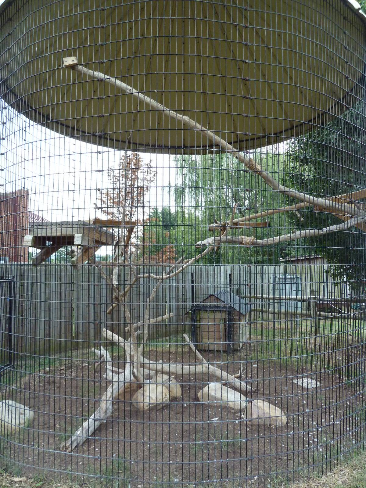Red-Tailed Hawk Exhibit