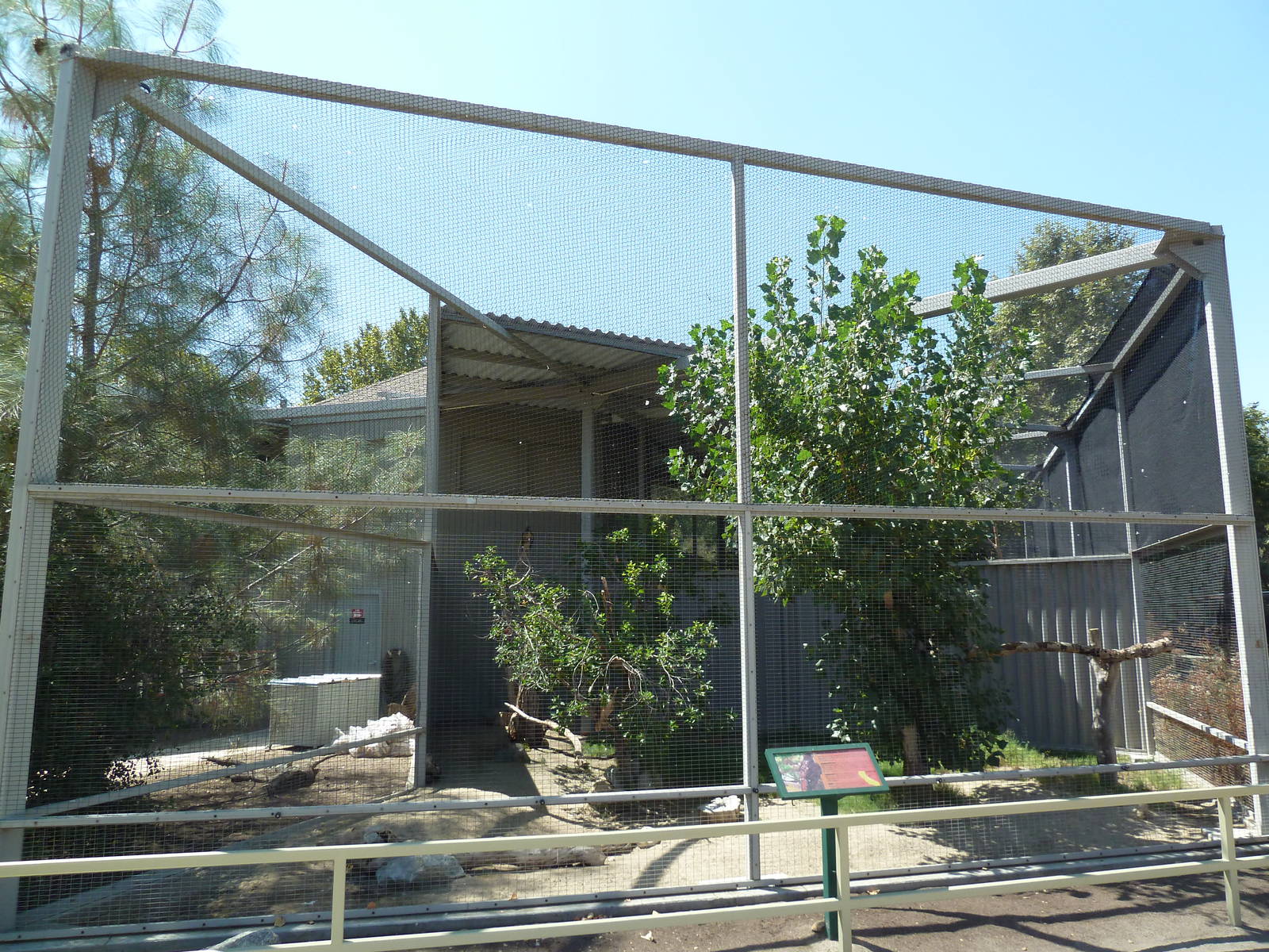 Red-Tailed Hawk Exhibit