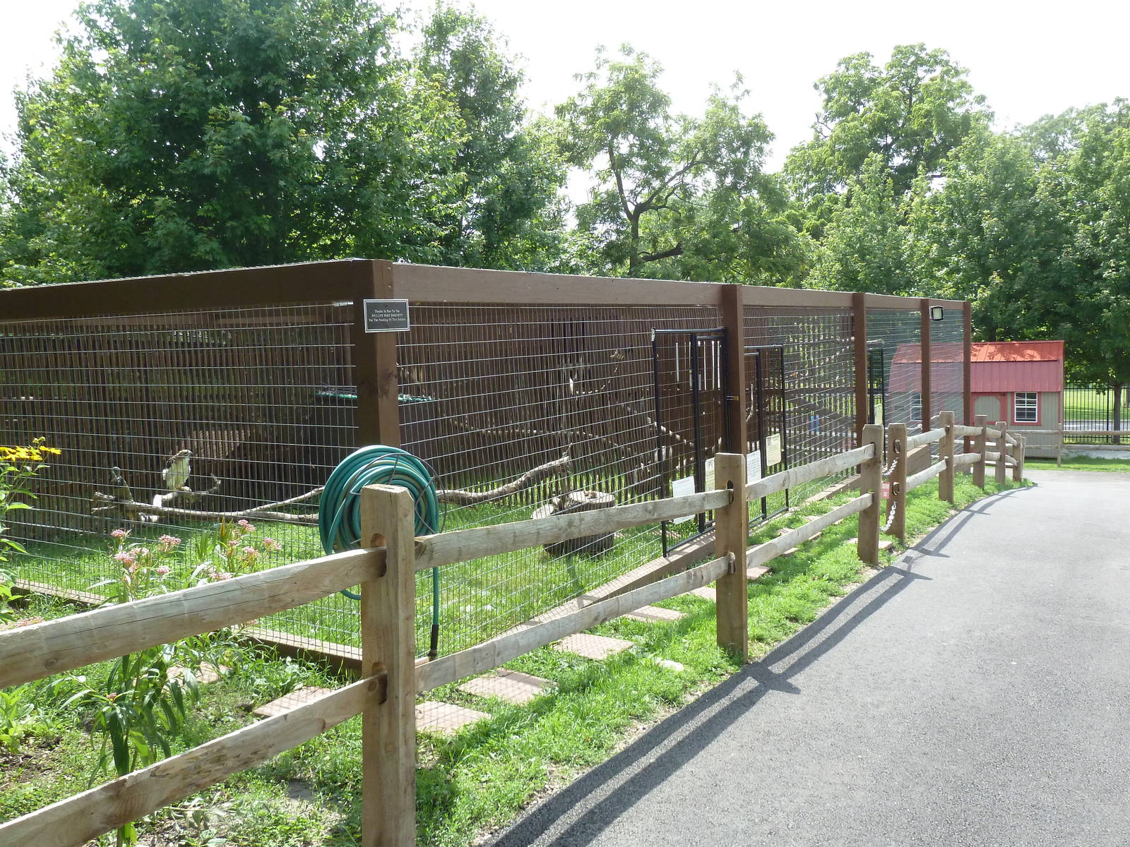 Red-Tailed Hawk Exhibit