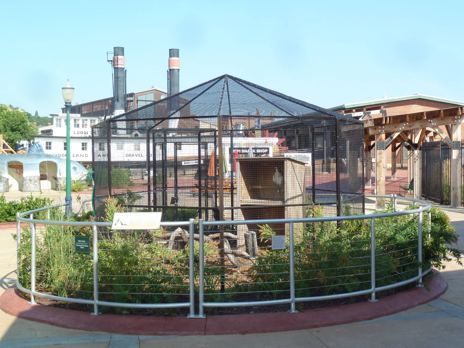 Red-Tailed Hawk Exhibit