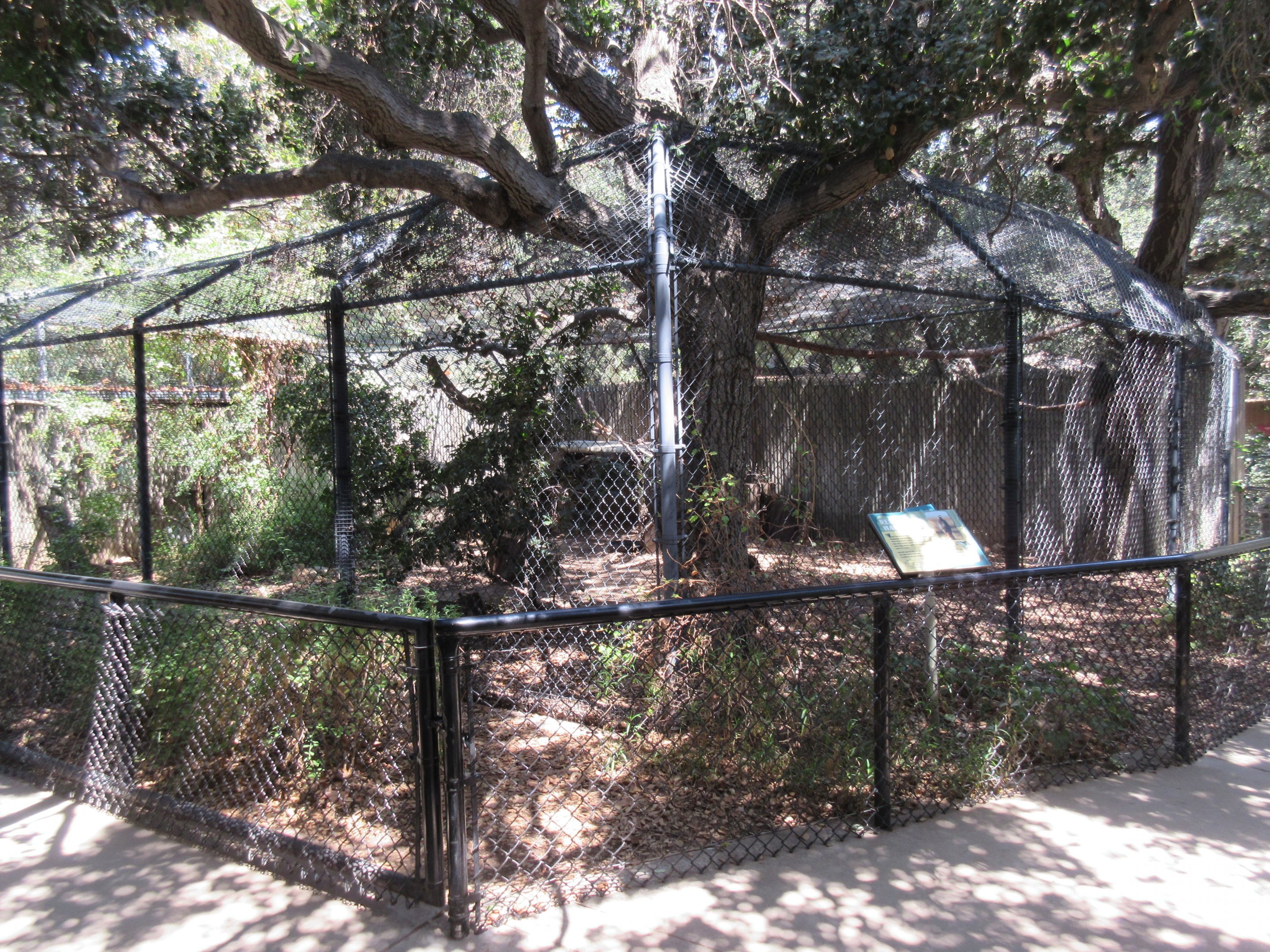 Red-Tailed Hawk Exhibit