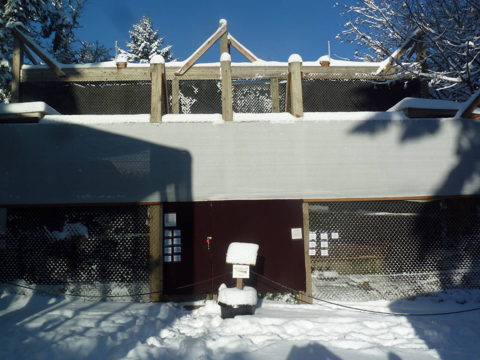 Red-Tailed Hawk Exhibits