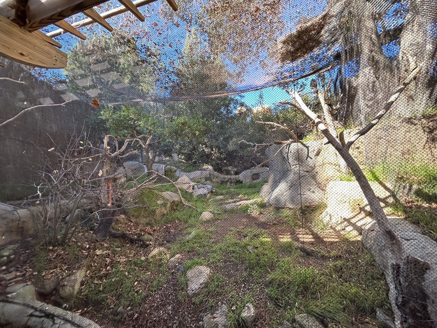 Red-tailed Hawk & Harris’ Hawk Aviary - Condor Ridge