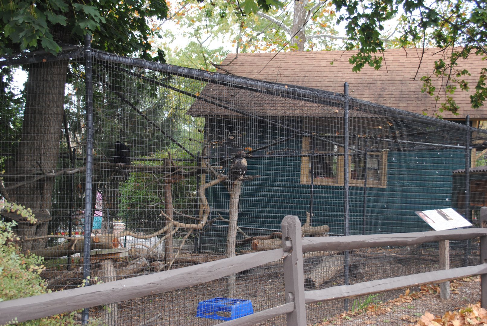 Red-tailed Hawk/Turkey Vulture Exhibit