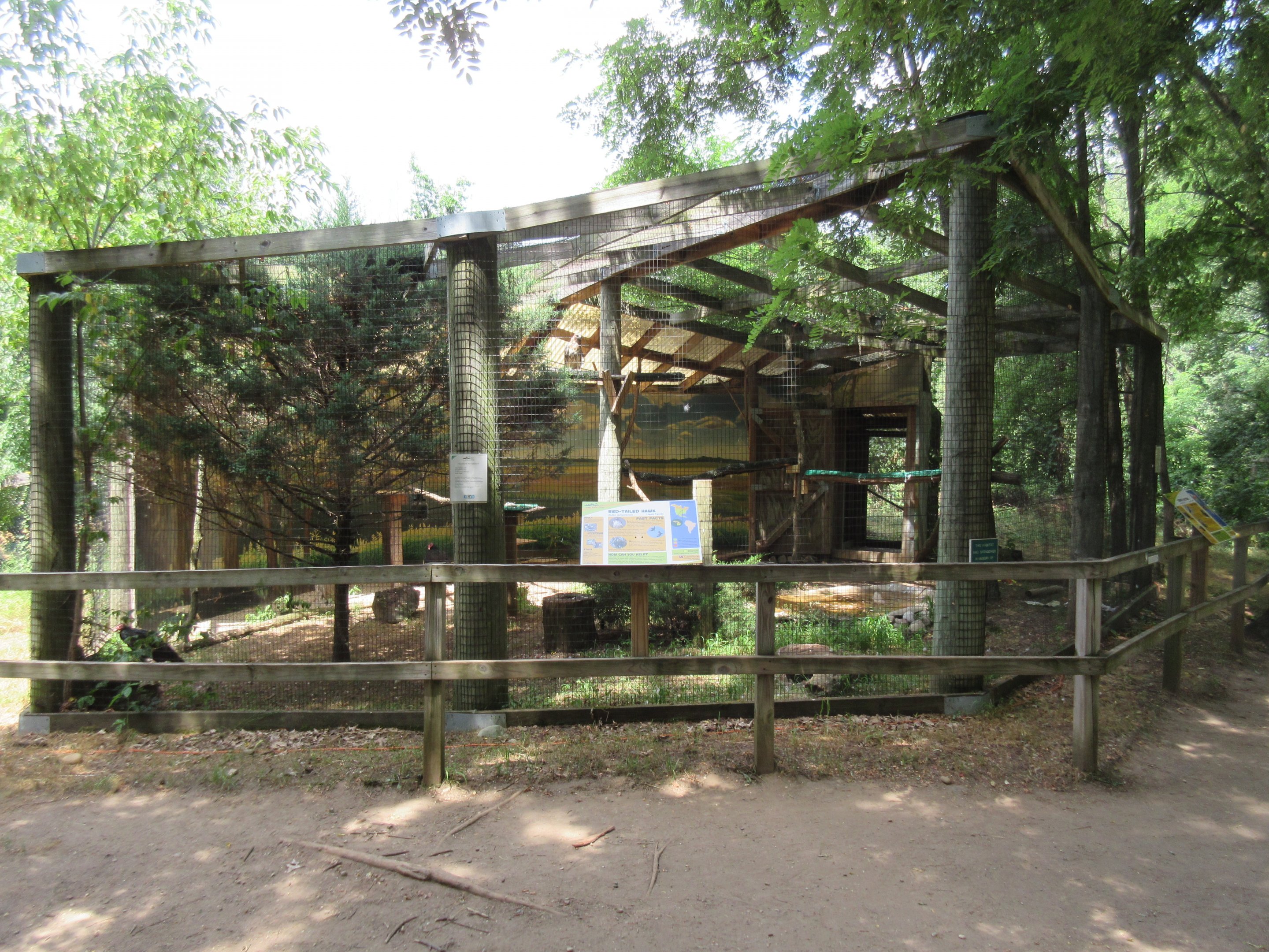 Red-tailed Hawk + Turkey Vulture Exhibits