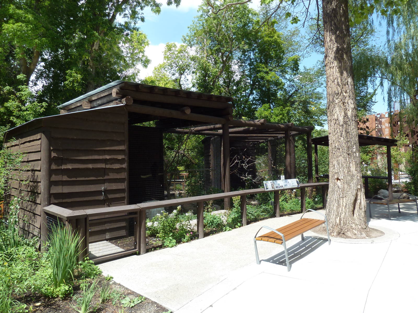 Red-Tailed Hawk/Turkey Vulture/Swainson's Hawk Exhibit