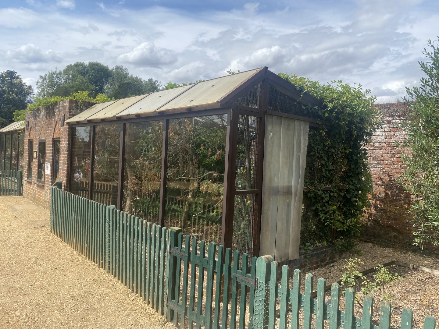 Red-tailed laughingthrush aviary 040822
