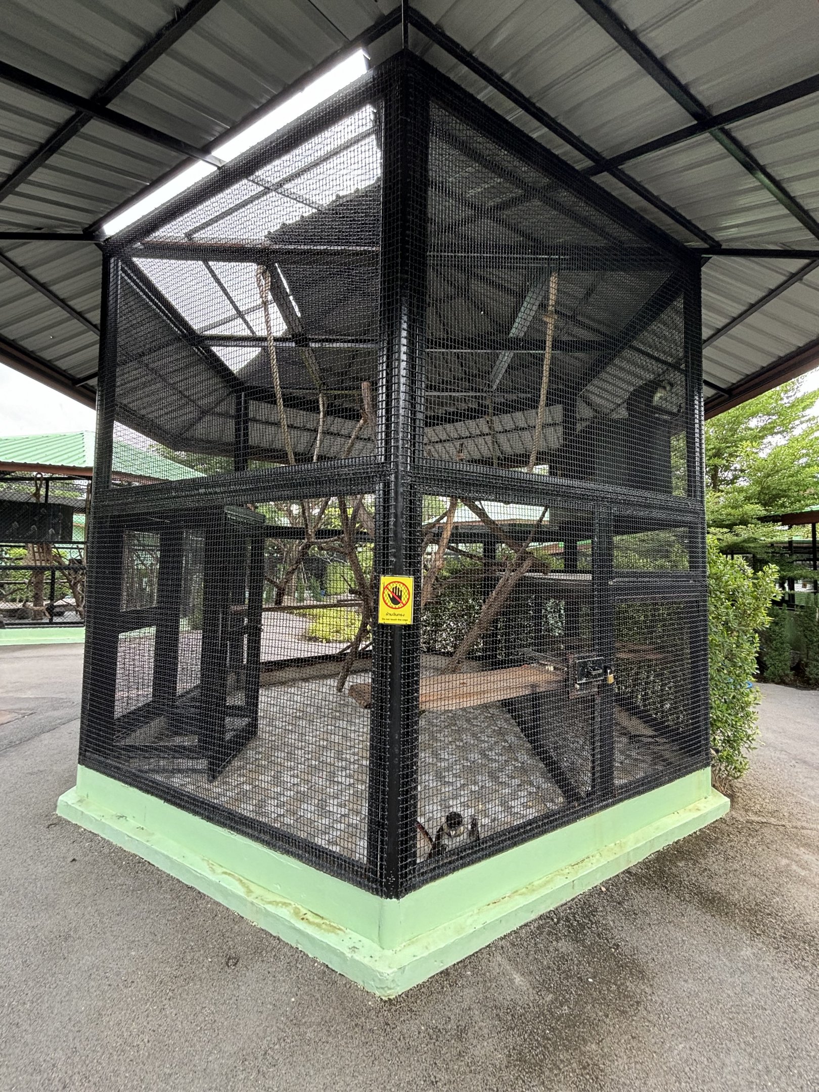 Red-tailed Monkey Exhibit - Lion Park