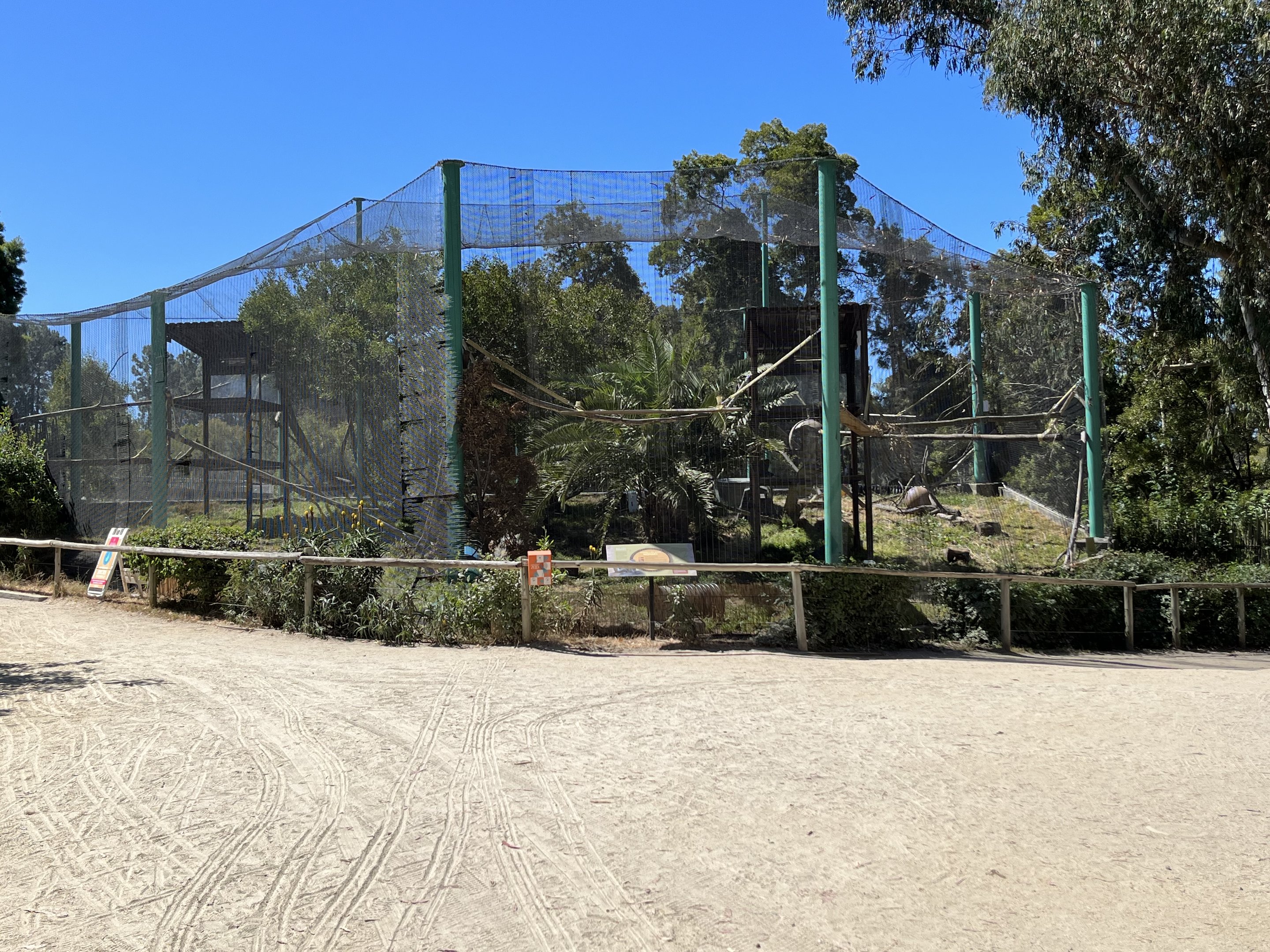 Red-tailed Monkey Exhibit