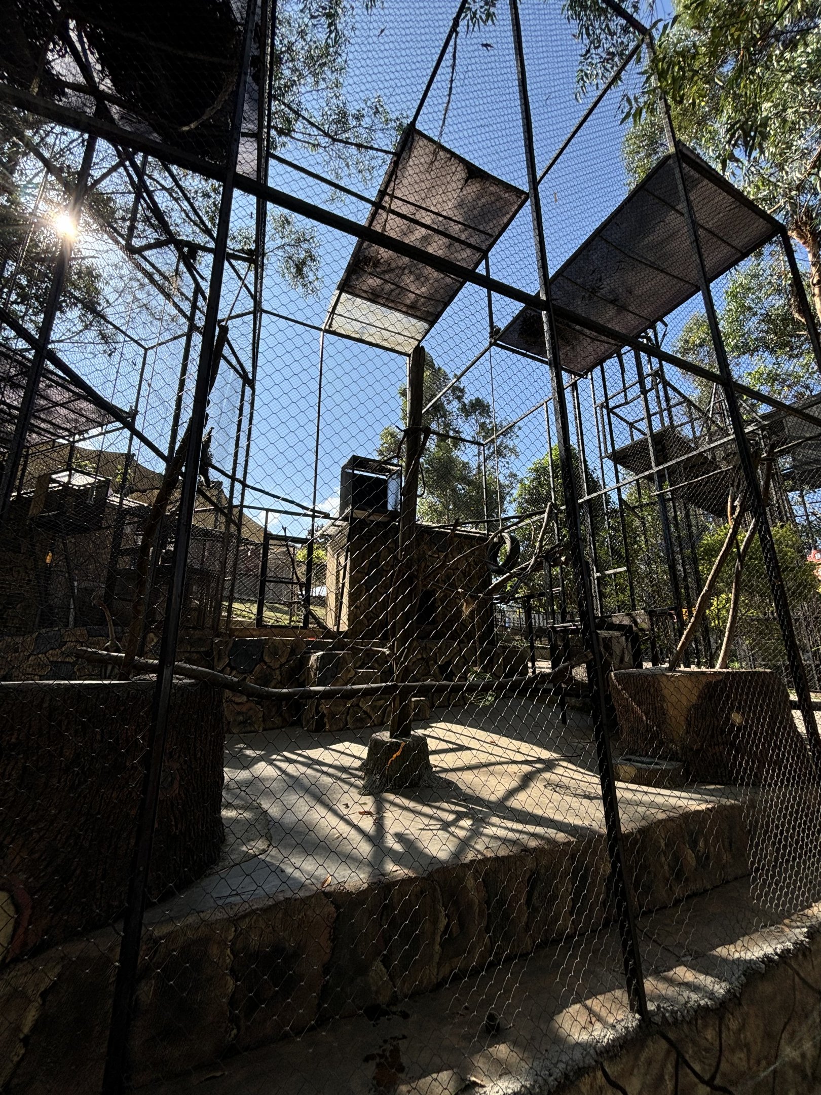 Red-tailed Monkey Exhibit