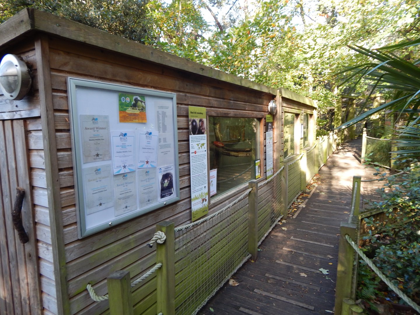 Red titi and Douroucouli enclosure 021120
