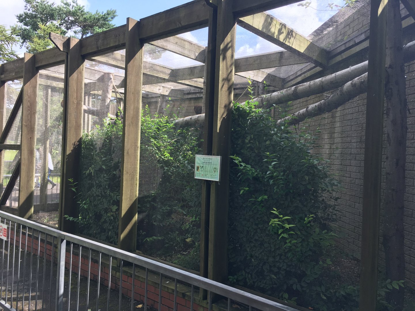 Red titi enclosure 040817