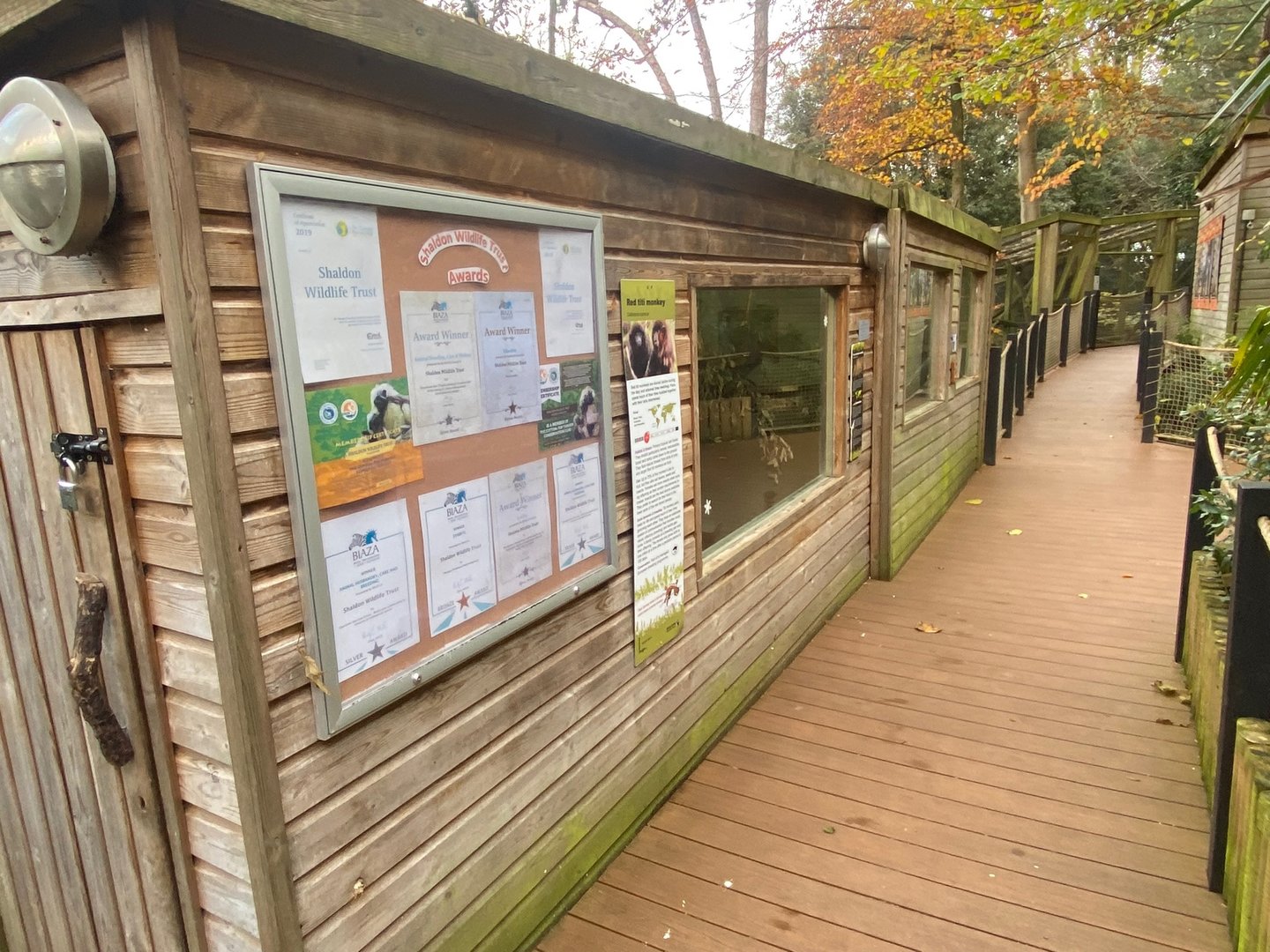 Red titi enclosure 111222