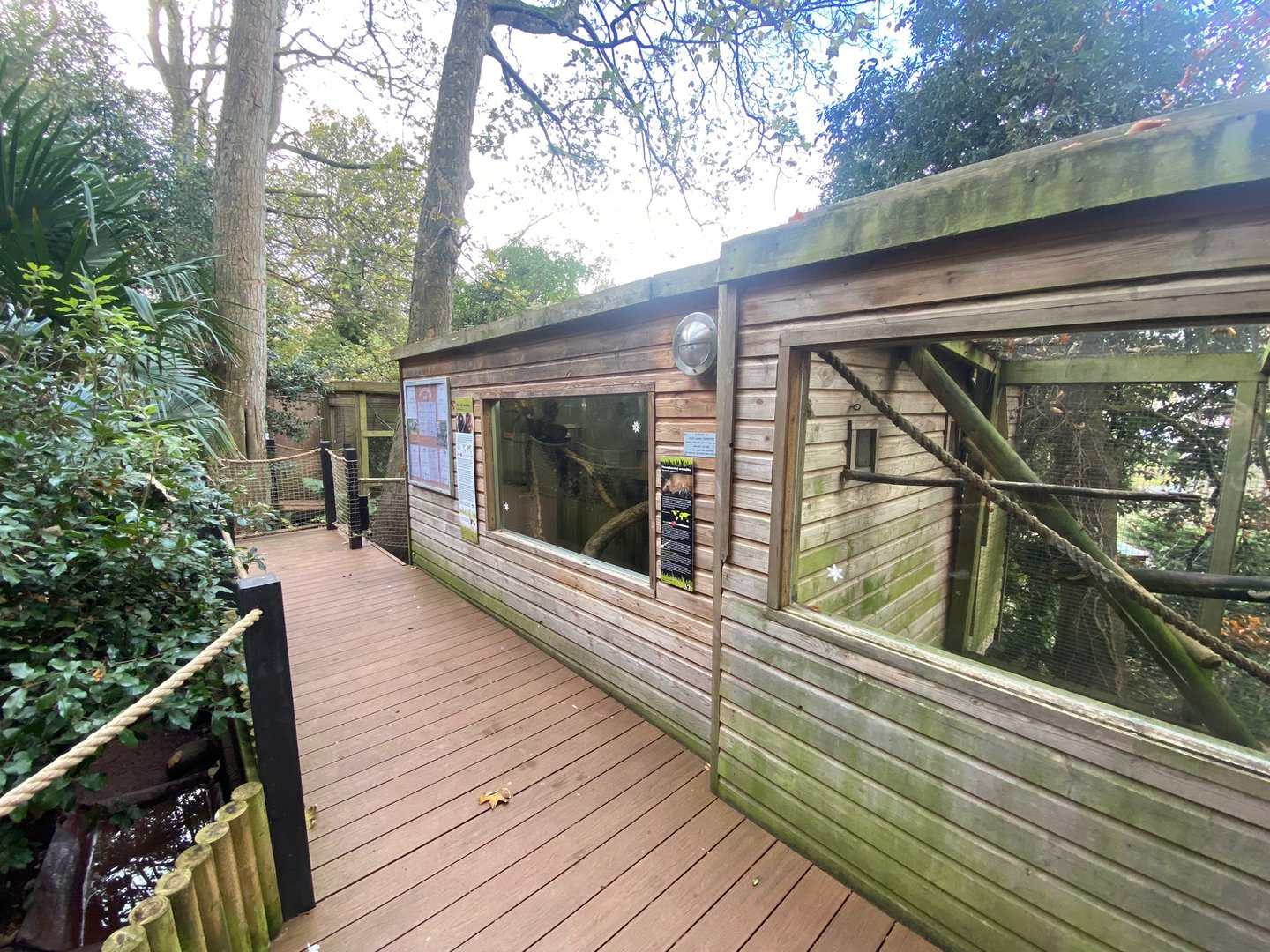 Red titi enclosure 111222